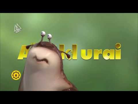 tovább a videóhoz